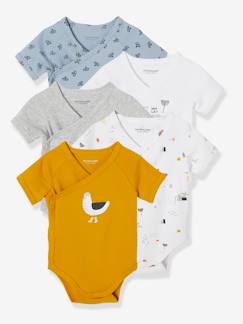 Lot de 5 bodies mouette manches courtes ouverture naissance - vertbaudet enfant Lot de 5 bodies mouette manches courtes ouverture naissance - vertbaudet enfant