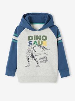 Sweat à capuche motif graphique garçon manches raglan - vertbaudet enfant Garçon-Pull, gilet, sweat-Sweat à capuche motif graphique garçon manches raglan