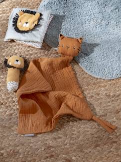 Coffret cadeau 3 pièces : doudou lange personnalisable + hochet + livre imagier - vertbaudet enfant Coffret cadeau 3 pièces : doudou lange personnalisable + hochet + livre imagier - vertbaudet enfant