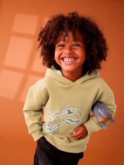 Jongenssweater met dinomotief en sherpagevoerde capuchon - vertbaudet enfant -Jongenssweater met dinomotief en sherpagevoerde capuchon