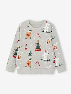 Kerstsweater voor jongens met leuke print - vertbaudet enfant -Kerstsweater voor jongens met leuke print