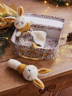Doudou plat lapin personnalisable + hochet en mallette - vertbaudet enfant Doudou plat lapin personnalisable + hochet en mallette - vertbaudet enfant