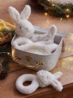 Doudou lapin et hochet en sherpa personnalisable avec mallette - vertbaudet enfant Doudou lapin et hochet en sherpa personnalisable avec mallette - vertbaudet enfant