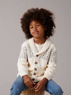 Gilet jacquard garçon - vertbaudet enfant Garçon-Pull, gilet, sweat-Gilet-Gilet jacquard garçon