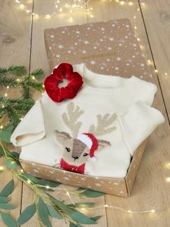 Kerstcadeauverpakking "Renne" jacquard trui + 2 scrunchies voor meisjes - vertbaudet enfant -Kerstcadeauverpakking "Renne" jacquard trui + 2 scrunchies voor meisjes