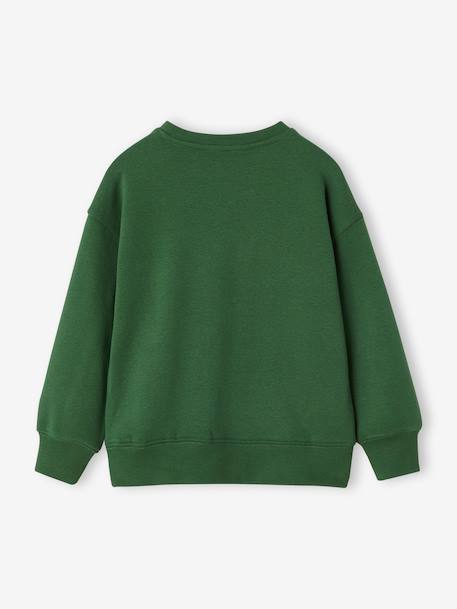 Sweat couleur motif poitrine Basics garçon pistache+rouge+vert - vertbaudet enfant 