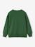 Sweat couleur motif poitrine Basics garçon pistache+rouge+vert - vertbaudet enfant 