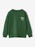 Sweat couleur motif poitrine Basics garçon pistache+rouge+vert - vertbaudet enfant 