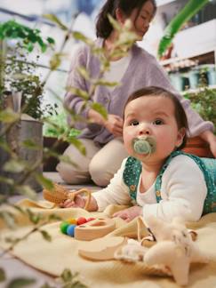 Verzorging-Set van 2 PHILIPS AVENT ultra soft lolly 6-18 maanden forest friends