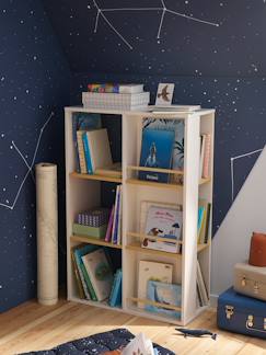 -Bibliotheekmeubel en speelgoedopslag
