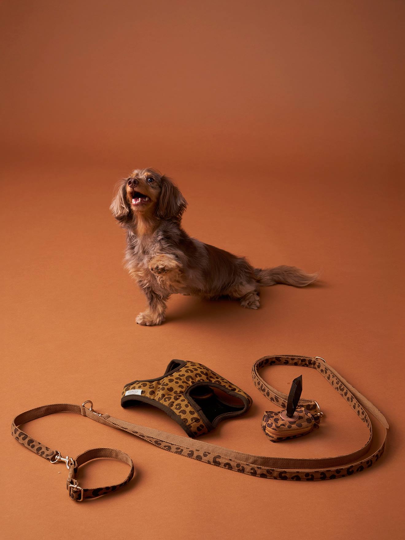 Vertbaudet Hondenwandeling Set, Harnas + Riem + Halsband Koffie