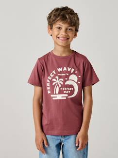 Jongens-T-shirt, poloshirt, souspull-T-shirt-T-shirt voor jongens met print