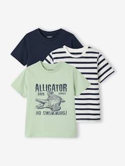 Garçon-T-shirt, polo, sous-pull-Lot 3 T-shirts manches courtes