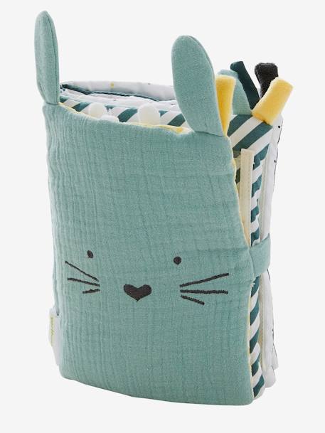 Livre Photos Et Activites Lapin Vert Jouet