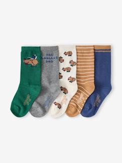-Lot de 5 chaussettes garçon