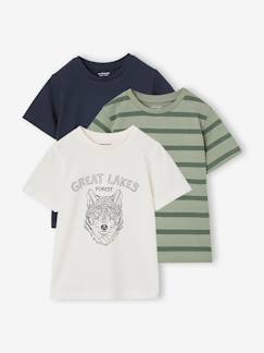 Lot 3 T-shirts manches courtes  - vertbaudet enfant