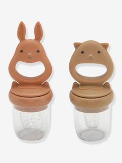 Verzorging-Baby eet en drinkt-Set van 2 fruitspeentjes