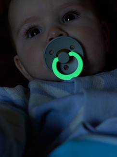 Verzorging-Set van 2 BIBS Colour-fopspenen, maat 1 van 0 tot 6 maanden