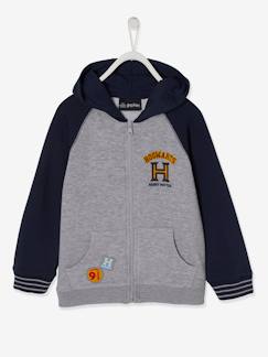 Jongens-Trui, vest, sweater-Harry Potter® jongen's ritsvest