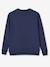 Sweat femme notre Chouette Famille collection capsule vertbaudet fabrication française MARINE GRISE - vertbaudet enfant 