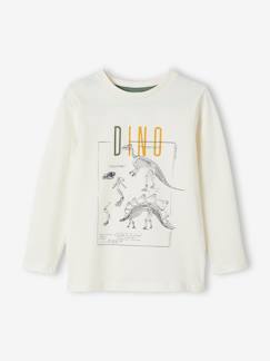 Garçon-T-shirt, polo, sous-pull-T-shirt motifs dinosaures garçon manches longues