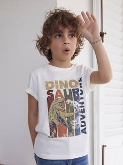 Garçon-T-shirt, polo, sous-pull-Tee-shirt dinosaure garçon manches courtes