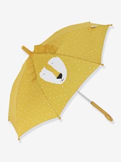 -Parapluie
