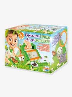 -Explorateur d'insectes -