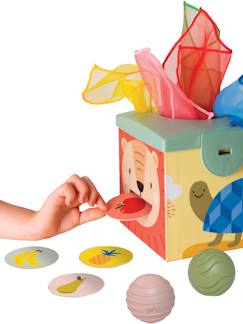 Jouet-Premier âge-Premières manipulations-Boîte Magique - TAF TOYS