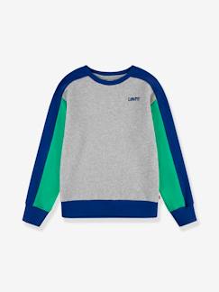 Jongens-Trui, vest, sweater-Levi's® colourblock logo sweatshirt