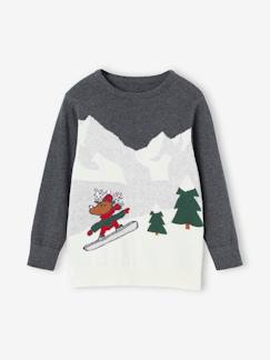 Jongens-Trui, vest, sweater-Kersttrui voor jongens met grappig landschap