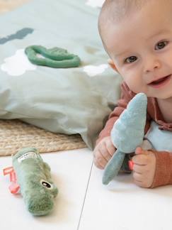 -Coffret de Naissance Croco -