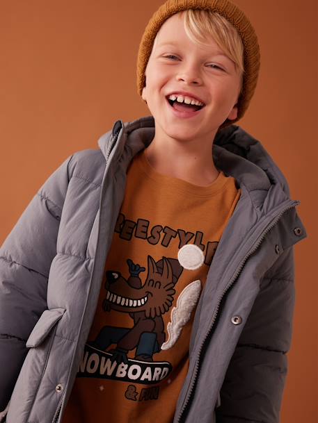 T-shirt animation fantaisie garçon en coton recyclé anthracite+bleu grisé+noix de pécan - vertbaudet enfant 