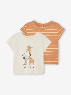 Set van 2 T-shirts voor baby, met korte mouwen  - vertbaudet enfant