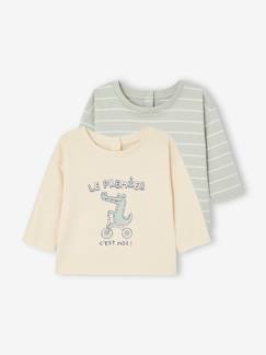 Set van 2 basic T-shirts voor baby's  - vertbaudet enfant