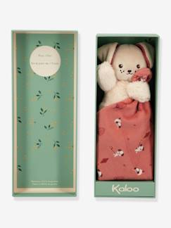 -Doudou lapin -