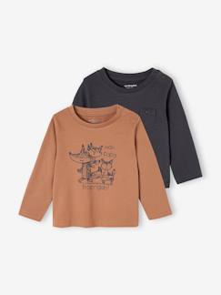 Bébé-T-shirt, sous-pull-Lot de 2 tee-shirts bébé manches longues