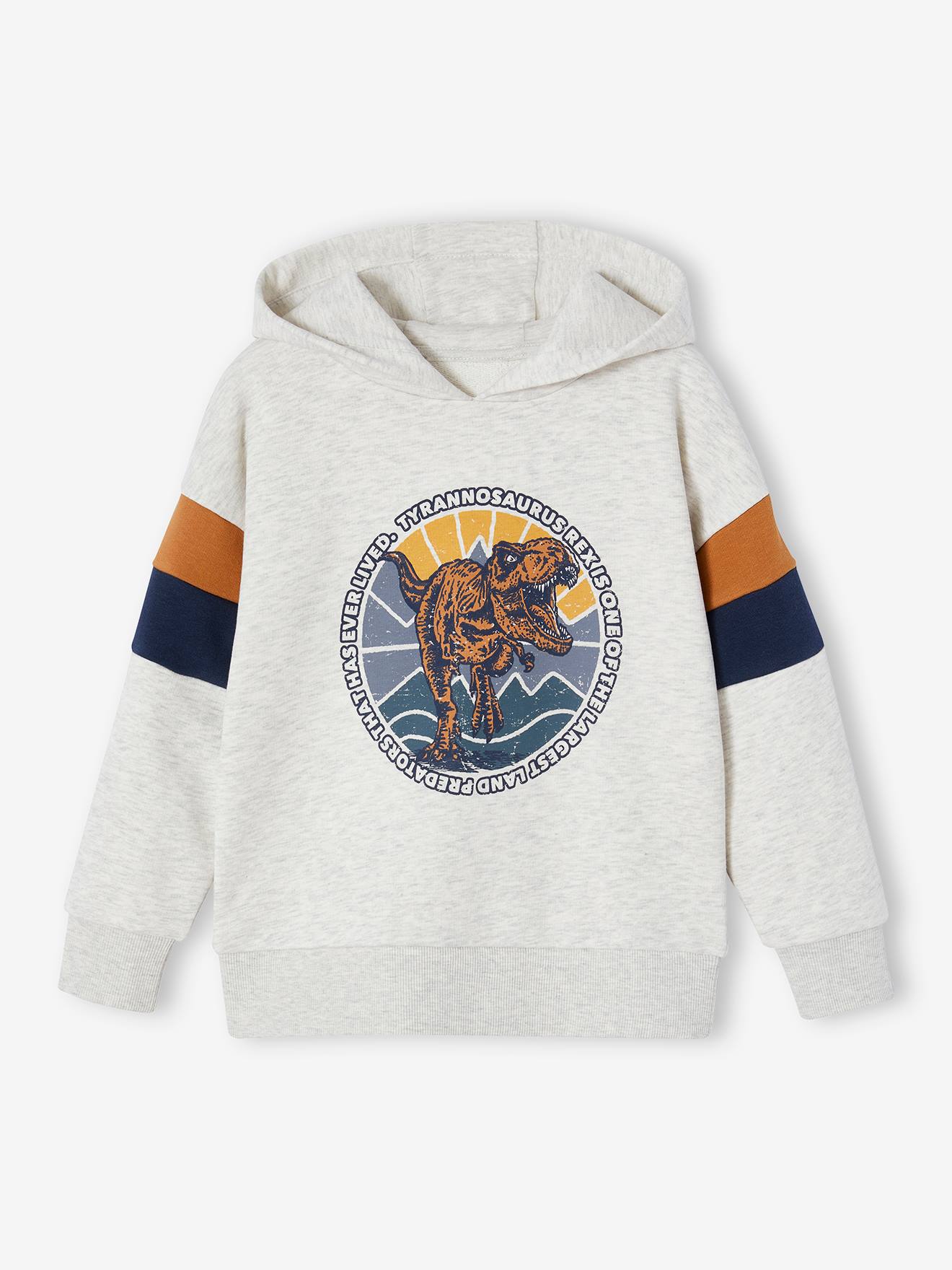 Vertbaudet Grafische Hoodie Met Colorblock Mouwen Voor Jongens Gemêleerd Wit