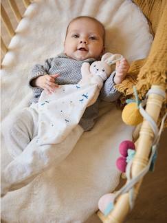 -Doudou lapin -