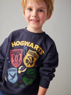 Garçon-Pull, gilet, sweat-Sweat-Sweat Harry Potter® Blasons garçon