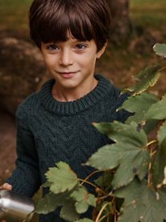 Jongens-Trui, vest, sweater-Trui-Kabeltrui voor jongens