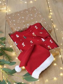 Baby-Trui, vest, sweater-Baby Weihnachts-Geschenkset: Sweatshirt & Mütze