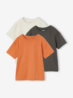 Garçon-T-shirt, polo, sous-pull-Lot de 3 t-shirts Basics garçon unis