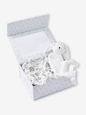 Coffret Naissance Vertbaudet - Pyjama Bébé Et Doudou Lapin En Velours | Imprimé Doux | Taille 0-3 Mois Environ | Cadeau Naissance Idéal