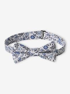 Garçon-Accessoires-Cravate, noeud papillon, ceinture-Noeud papillon garçon