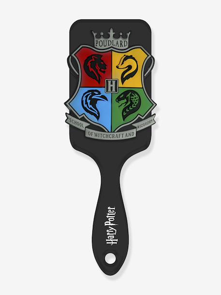 Garçon-Brosse à cheveux Harry Potter avec application 3D des 4 maisons en silicone