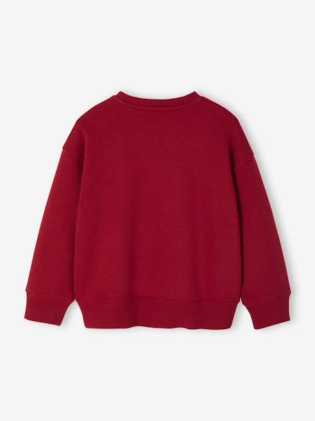 Sweat couleur motif poitrine Basics garçon pistache+rouge+vert - vertbaudet enfant 