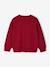 Sweat couleur motif poitrine Basics garçon pistache+rouge+vert - vertbaudet enfant 
