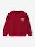 Sweat couleur motif poitrine Basics garçon pistache+rouge+vert - vertbaudet enfant 