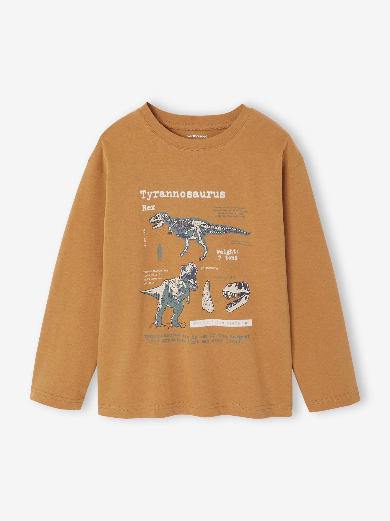 Vertbaudet T-shirt Met Lange Mouwen En Print Met Reliëfs Voor Jongens Pecannoot